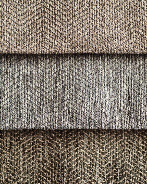 Zorro Dimout - Image 7